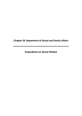 2008 Annual Report, Chapter 29 Department of Social and Family Affairs Social Welfare thumbnail