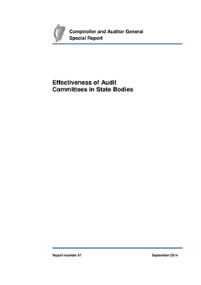 Special Report 87 Effectiveness of Audit Committees in State Bodies thumbnail